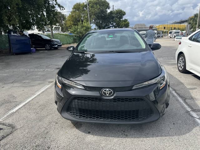 Photo by Jose Vargas V. (10/26/24)