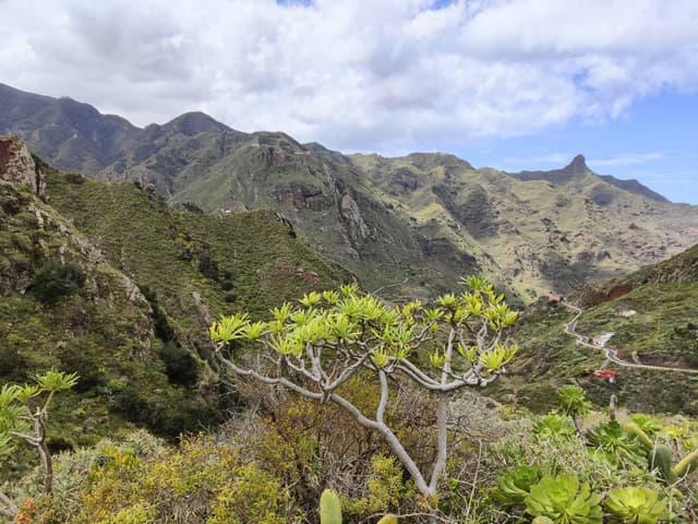 Foto 1 von Jan V. über die Anmietung eines Citroen C3 auf Teneriffe (31.3.24)