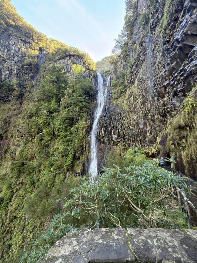 Photo 1 by bernard A. about hiring a Fiat 500 in Portugal (03/02/26)