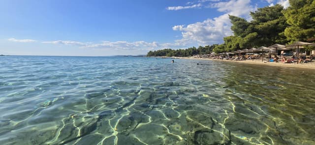 Photo by Wojciech S. (9/27/26)
