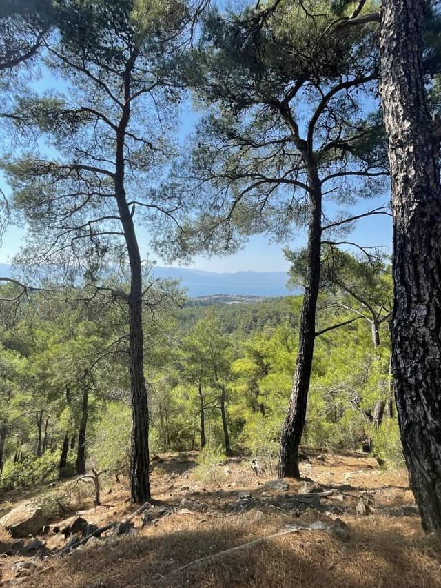 Foto 1 van Marlies V. (13-8-23)