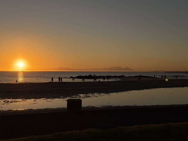 Photo by James P. (4/8/26)