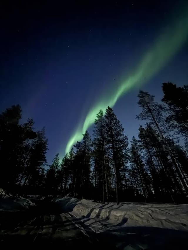 Photo 1 by YICHOU H. (4/6/26)