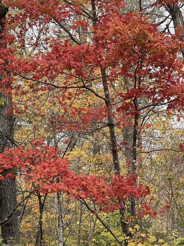 Photo 1 by Karen N. about renting a Chevrolet Bolt in Massachusetts (10/21/23)