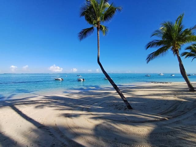 SANGJU L.의 사진 1 (25. 3. 14.)