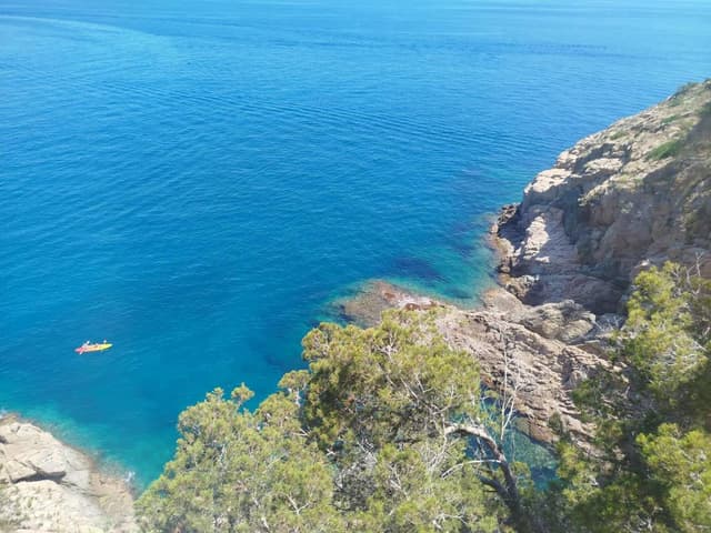 Zdjęcie 1 wykonane przez Bartlomiej G. (7.07.25)