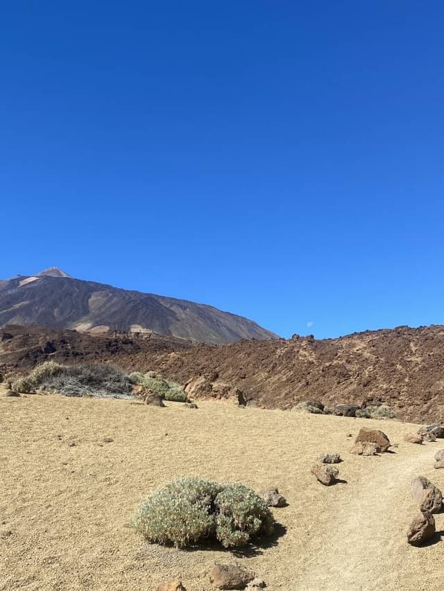 Photo 1 par Amelle N. sur la location d'un Volkswagen Polo à l’aéroport de Tenerife-Sud (07/11/23)