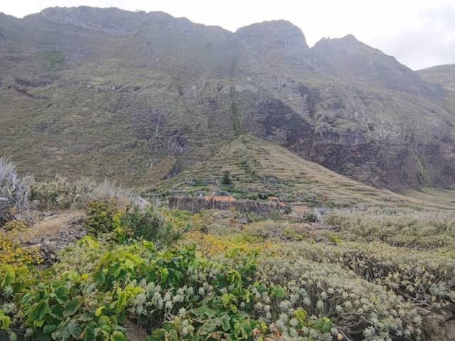 Zdjęcie 2 wykonane przez Ewa S. (1.07.24)