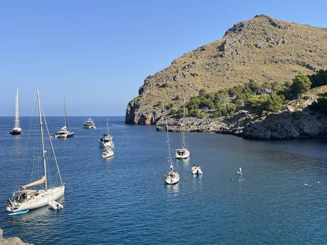 Fotografia 3 realizată de Stefan Alin N. (17.08.25)