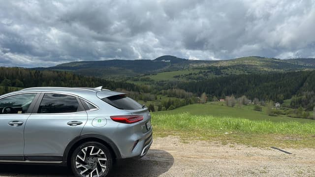 Photo 1 by Peter M. (5/22/25)