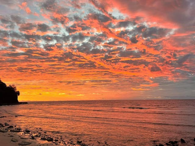 Photo 1 by Michael F. (4/11/26)