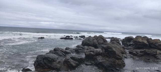 Foto 2 de Jose Manuel P. (20/11/25)