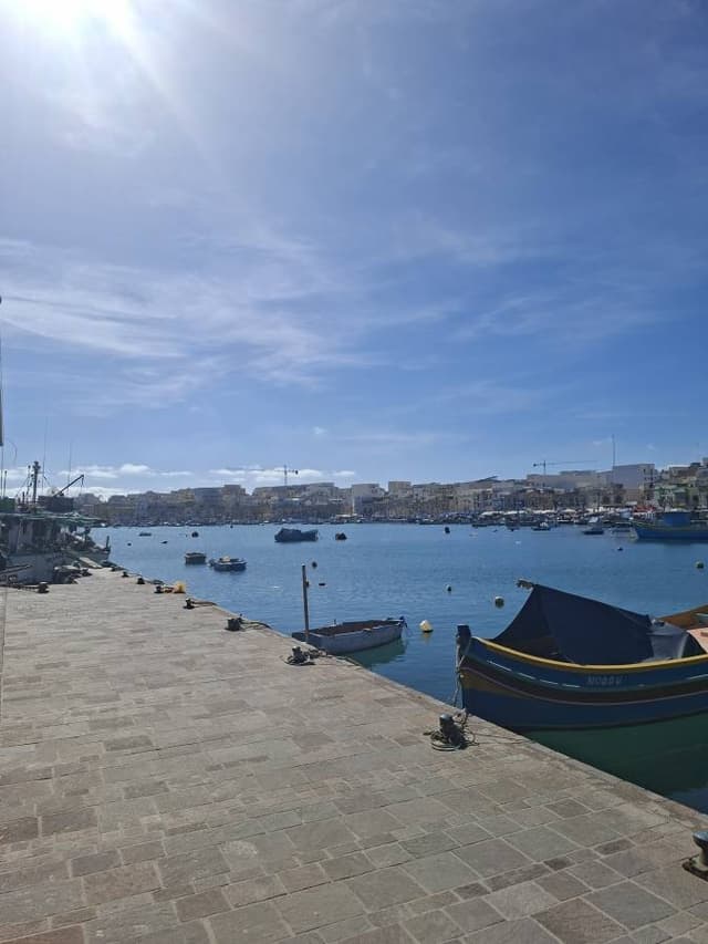 Photo 1 by Paul H. (2/25/26)