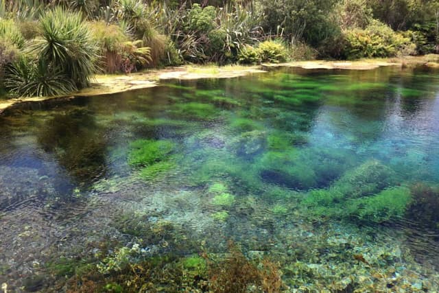 Photo 2 by Steven G. (3/1/26)