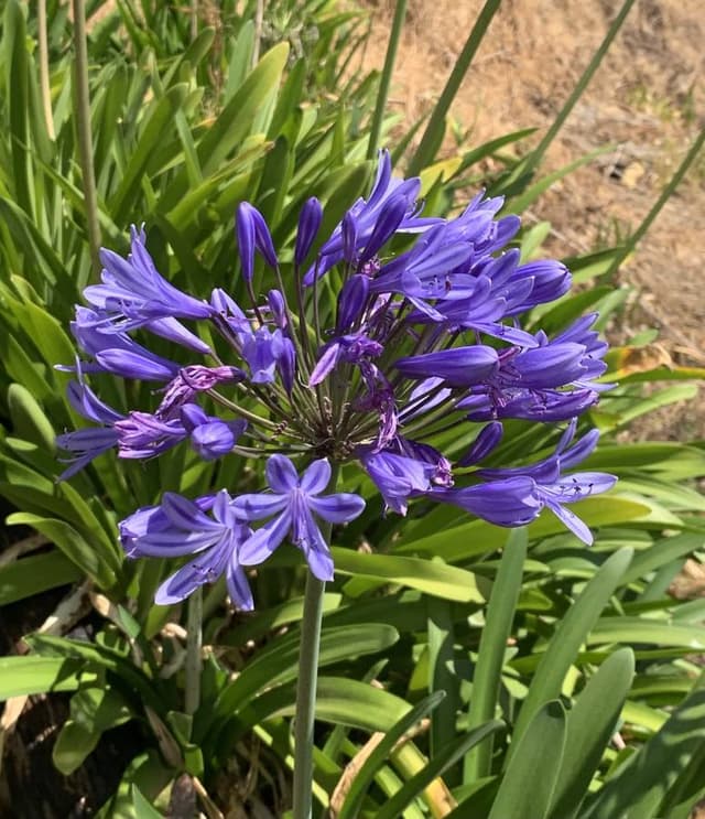 Foto 2 van Pieternella B. (17-10-24)