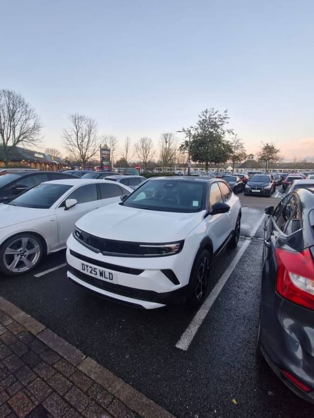 Photo 1 by Sin Ting Victoria F. (12/3/25)