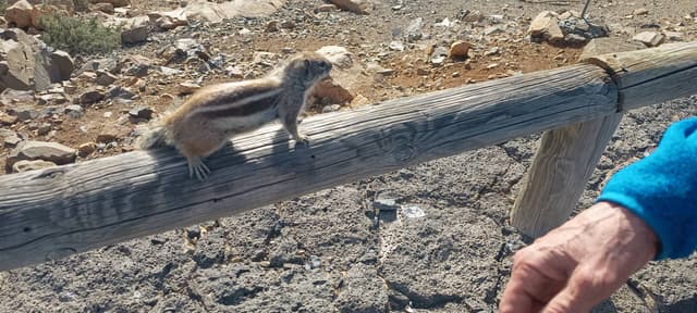 Foto 1 von Rosemarie H. (14.12.25)