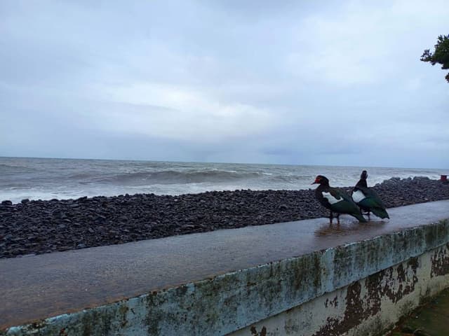 Zdjęcie 2 wykonane przez Justyna B. (1.04.26)