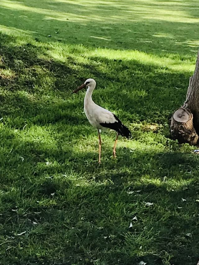 Photo 1 par Chantale A. (16/04/24)