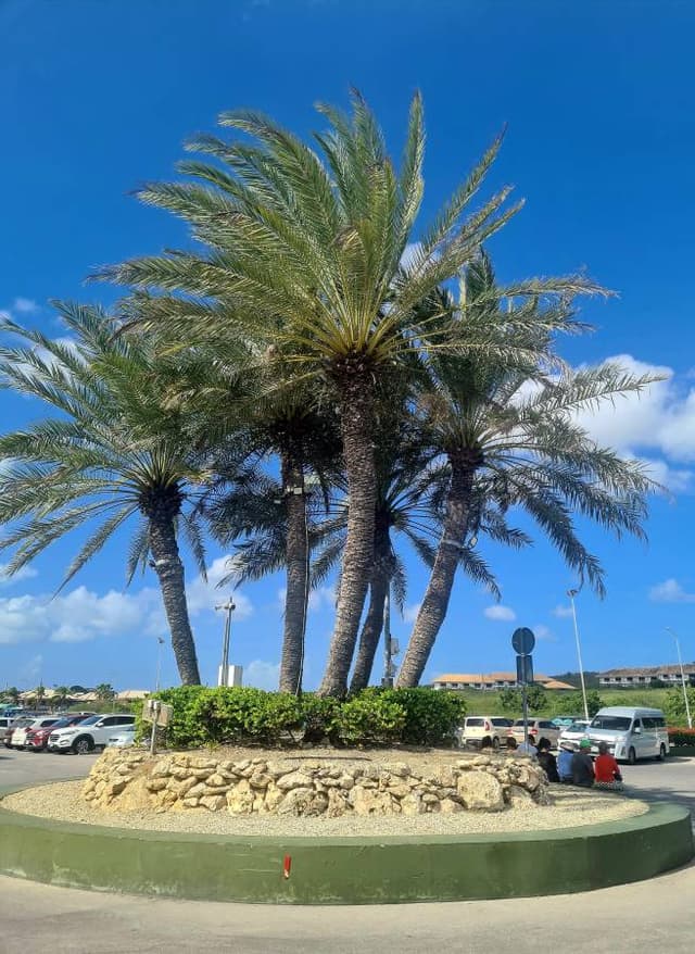 Foto 1 van Don R. (19-11-25)