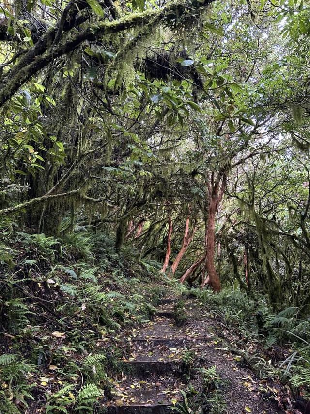 Foto 1 von Leonie Gertrud R. (30.12.25)