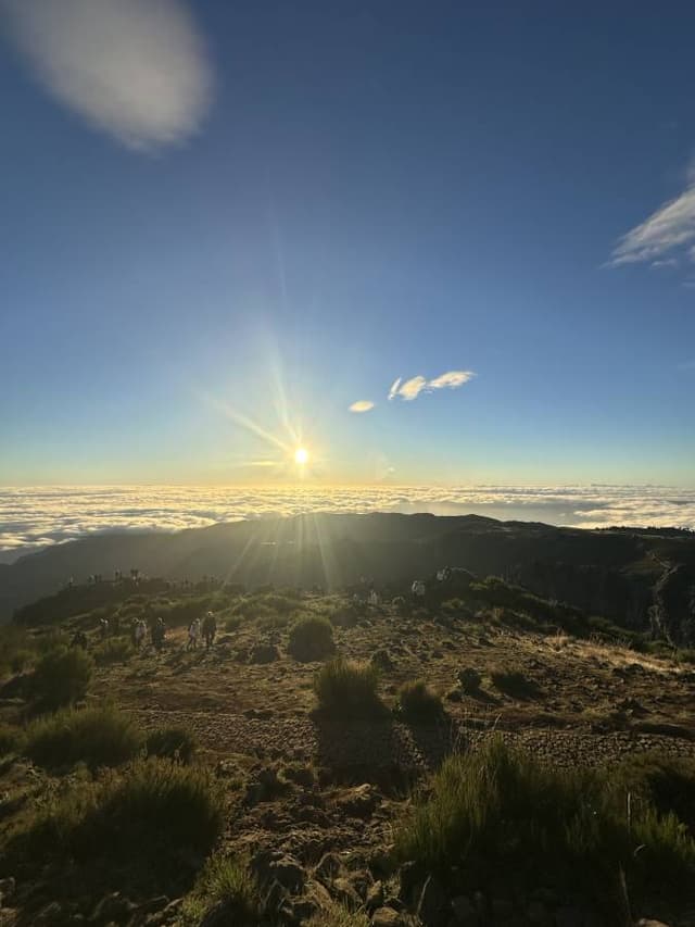 Photo 1 by Viktor W. (10/23/25)