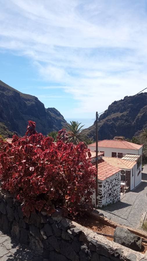 Photo 1 by Joaquim M. about hiring a Toyota Aygo at Tenerife Airport North (10.04.24)