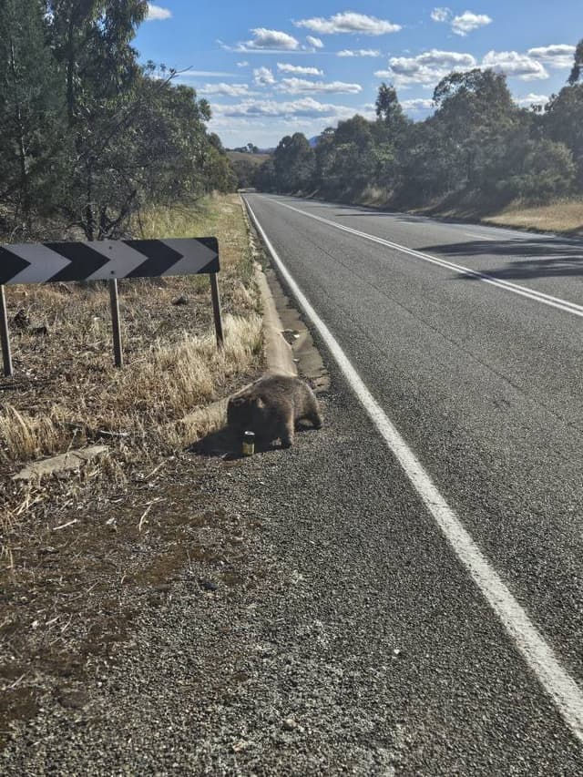 Photo 2 by Toni H. (11/21/25)