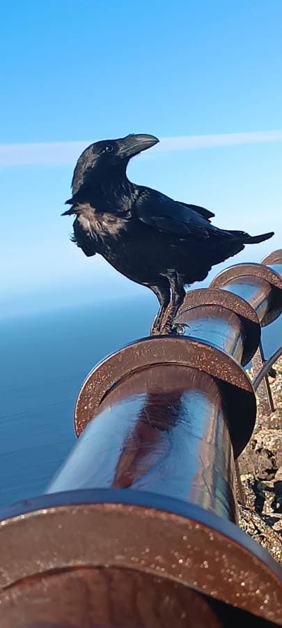 Foto 1 de Elena C. (25/11/25)