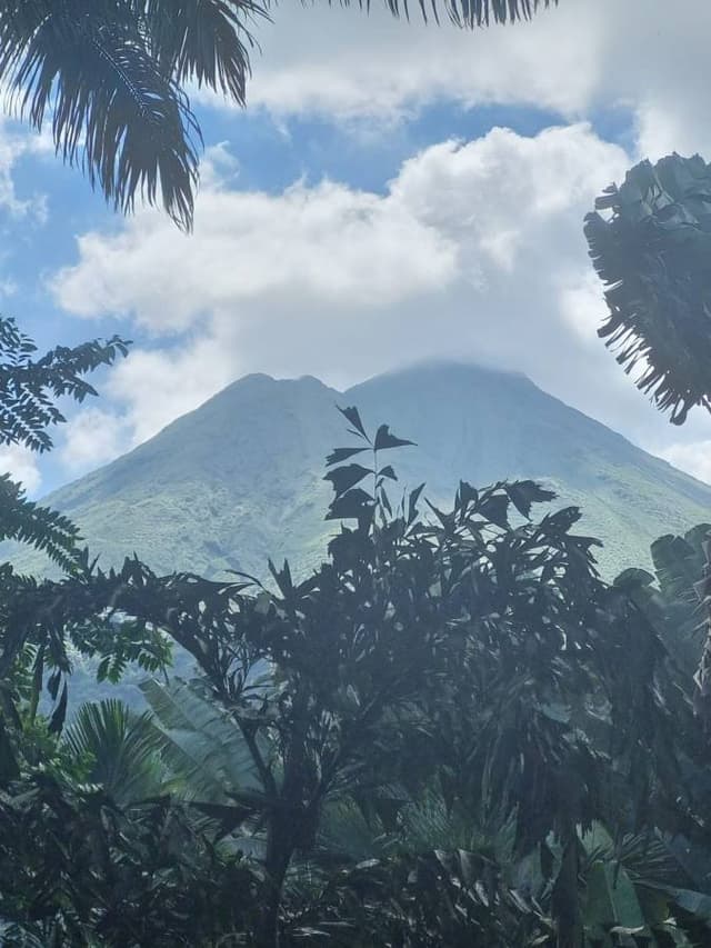 Foto 1 de AHAMED Q. (21/2/26)