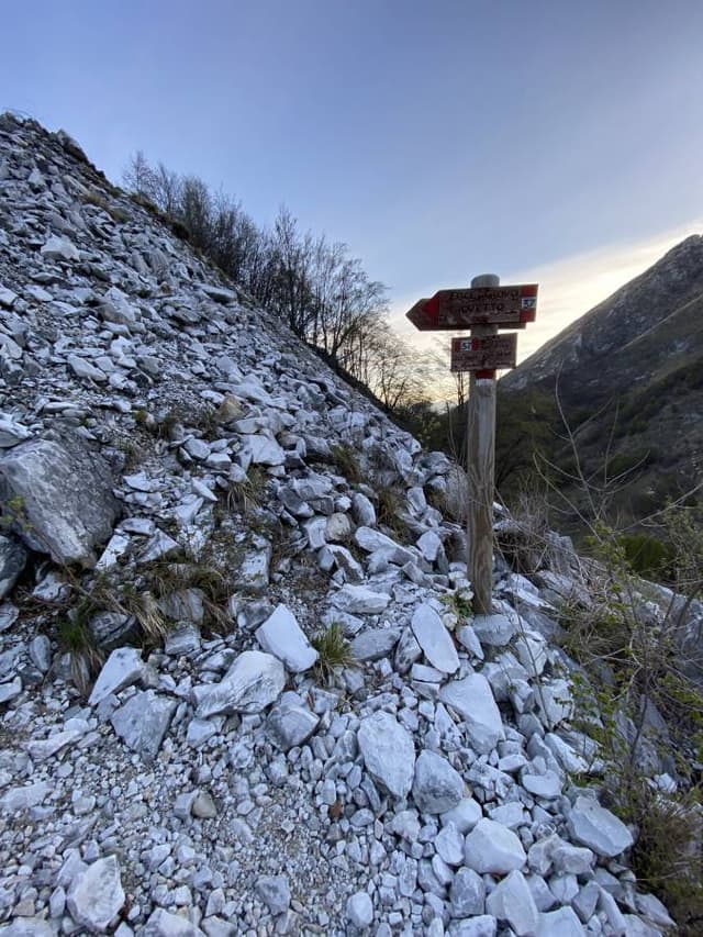 Foto av Paul S. (23-04-30)