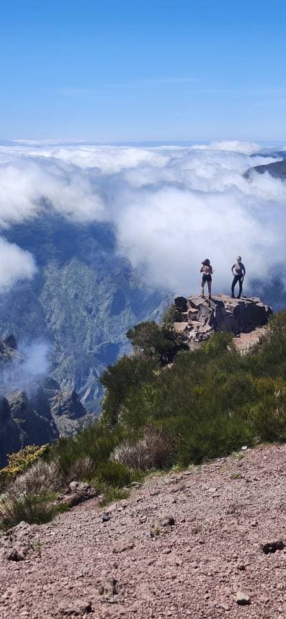 Photo 1 by David H. (4/15/26)