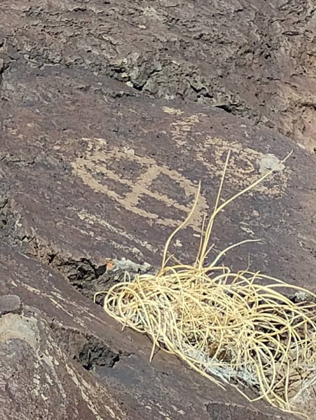 Photo 2 by Martina S. (2/18/26)