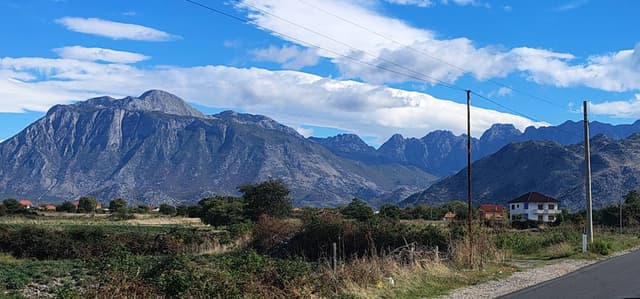 Photo by Damian T. (10/19/25)