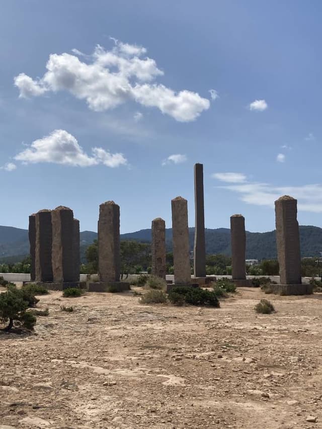 Foto 1 van Patrick S. (20-5-23)