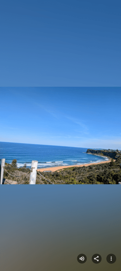 Photo by Maya W. (2/5/26)