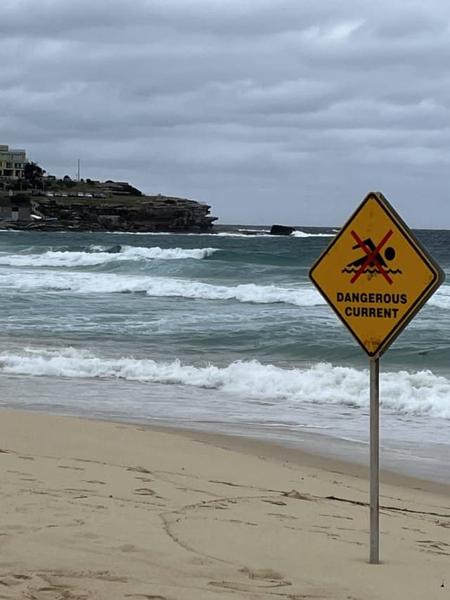 (24/10/9)のレンタルについて、HIROTAKA O. による写真 1