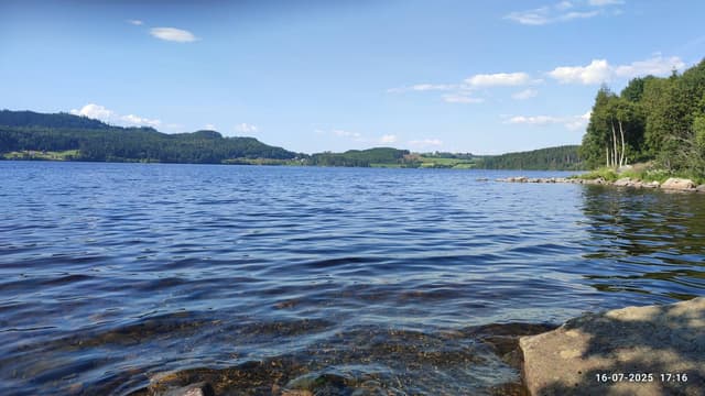 Foto 1 van Ron T. (23-7-25)