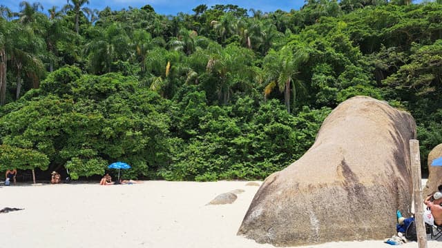 Foto 1 von Carlos M. über die Anmietung eines Jeep Compass in Curitiba (11.1.25)