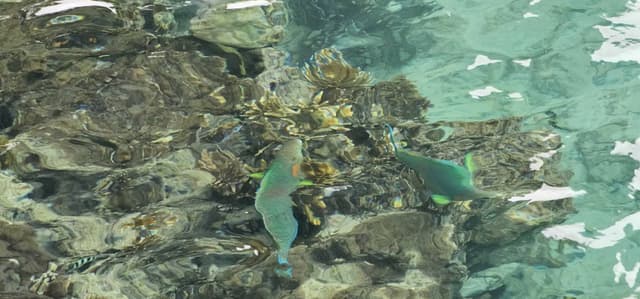 Photo 2 by Dylan L. about renting a Dacia Logan in New Caledonia (7/7/25)