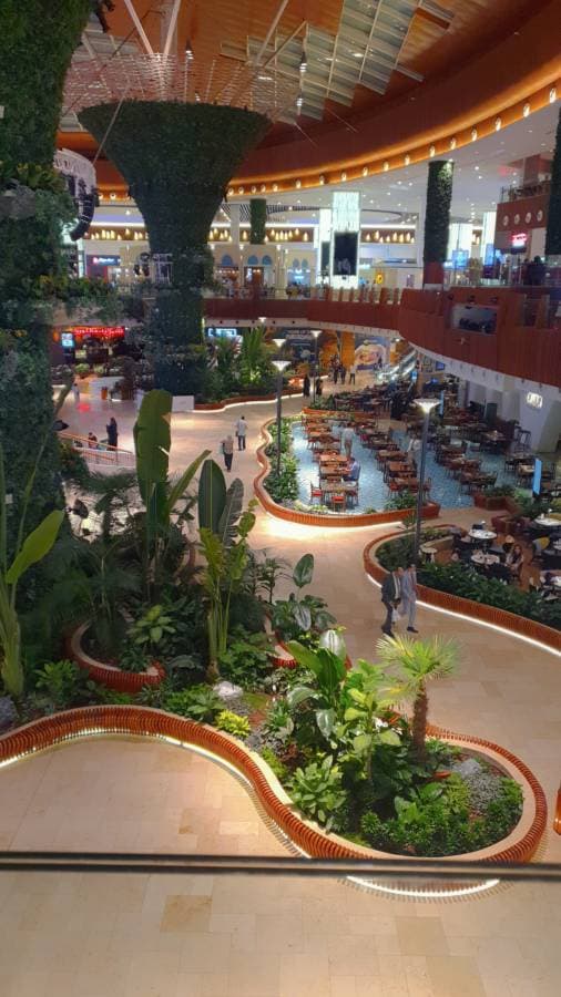 Photo 1 by Natasha K. about hiring a Hyundai i10 in Qatar (17/10/23)