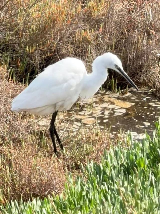 Photo 1 by John B. (3/31/26)