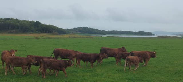 Foto di Piero M. (12/09/25)