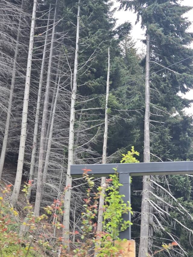 Foto 1 de DIANA M V. (14/11/25)