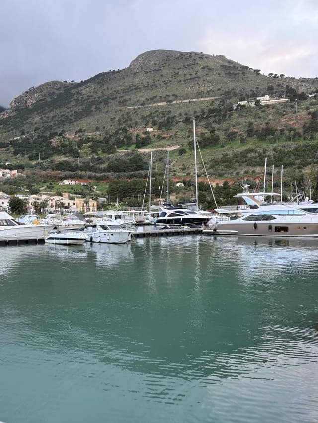 Zdjęcie 1 wykonane przez Norbert S. (15.01.26)