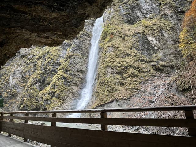 Photo 1 by Justina J. (10/27/25)