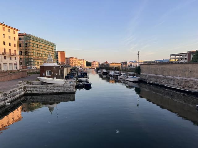 Снимка 1 от Kiril I. (2.06.25 г.)