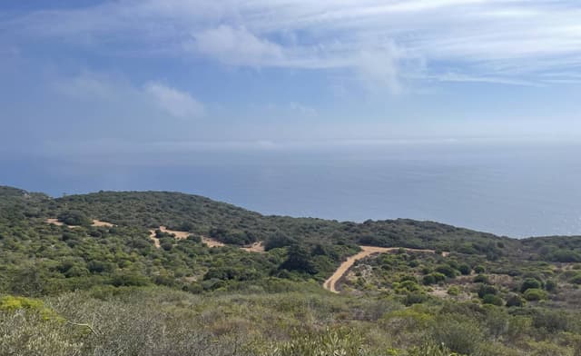 Foto 2 van Jeroen V. (24-10-25)