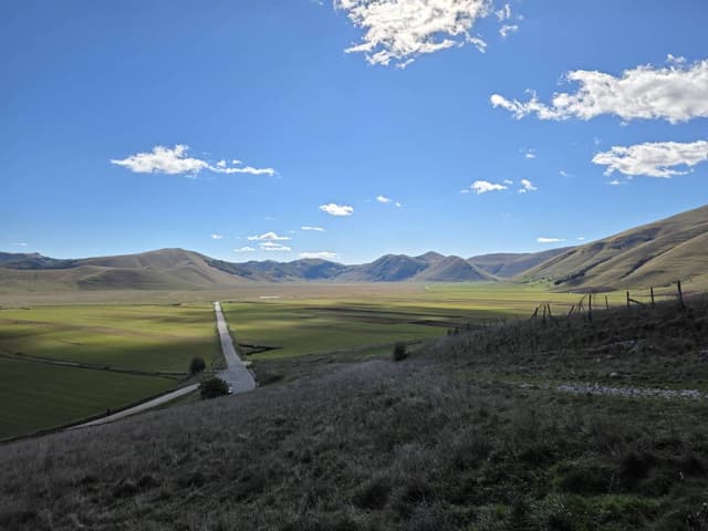 Photo 1 by Elisabeth B. (10/29/25)