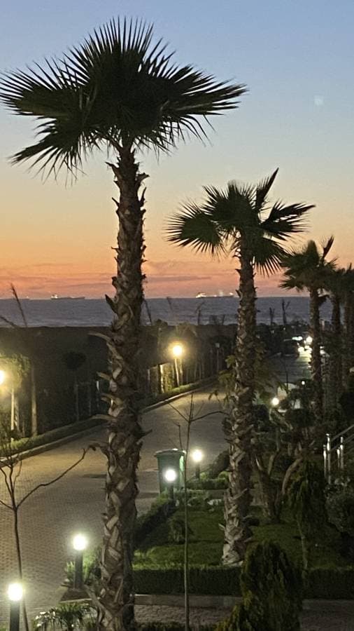 Photo by Jana E. about renting a Kia Picanto in Rabat (2/25/25)